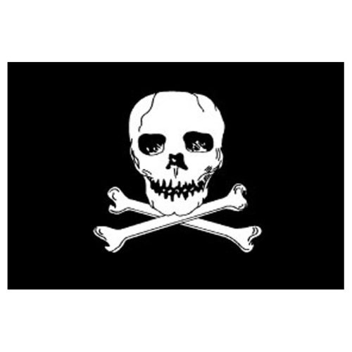 Jolly Roger Flag - W.G.N Flag & Decorating Co