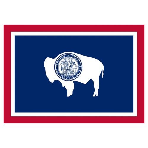 United State Of America State Flag Vinyl Decal Sticker Car Window Bumper 5 X 3 Inches